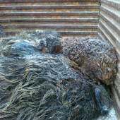 hadajte co je na foto