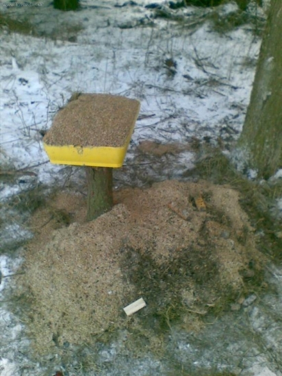 dneksajsie prikrmenie