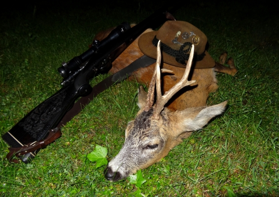 Otcov prvý tohtoročný srnček