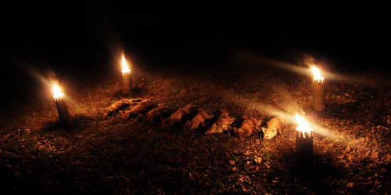 Výsledok troch dní norovania / Veľkoplošné tlmenie škodnej