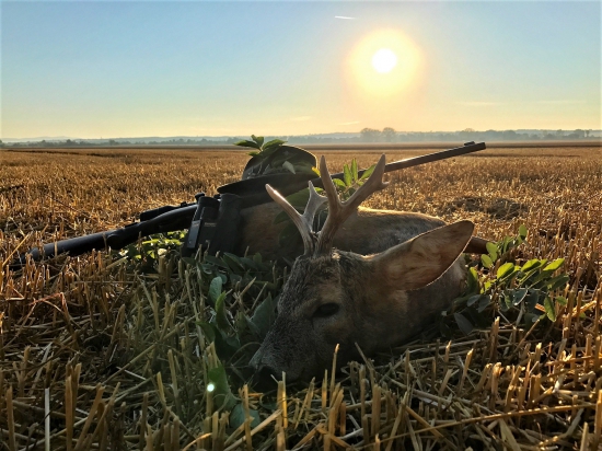 Chladné letné ráno