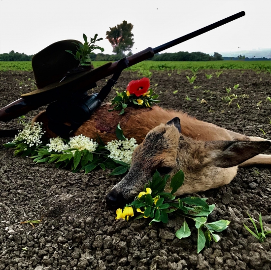 Dopraj a bude ti dopriate