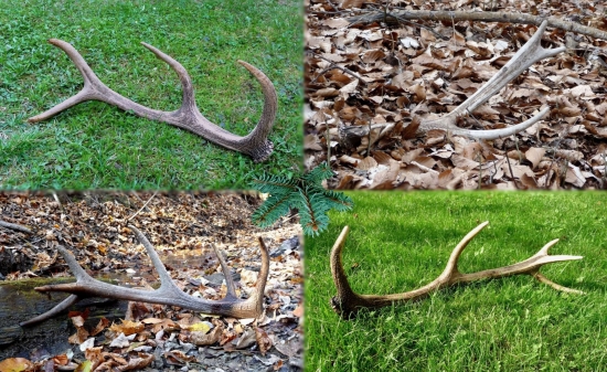 A tý ostatný z r.2010