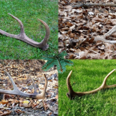 A tý ostatný z r.2010