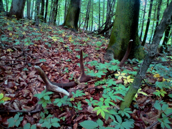 Pár metrov nad cestou