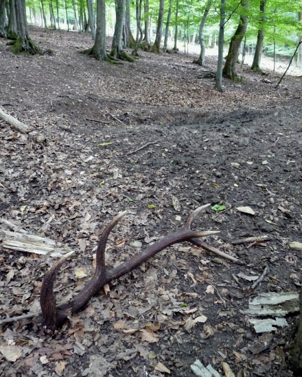 Pár metrov nad cestou II.