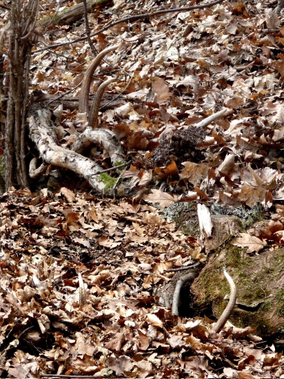 Párik - prvé pohľady