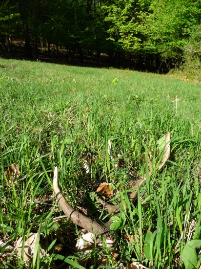 Pekný začiatok preflákaného dňa