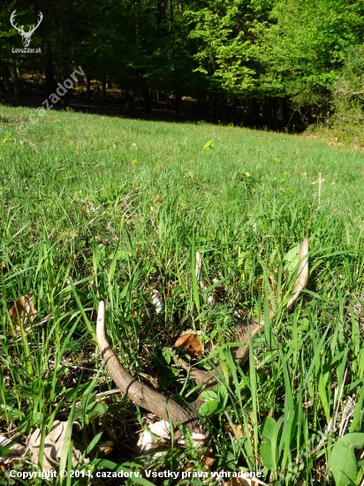 Pekný začiatok preflákaného dňa