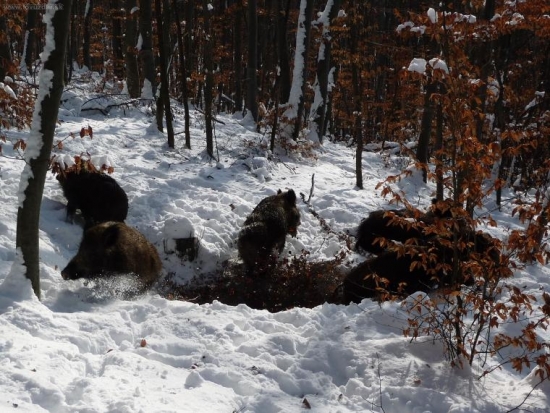 A ked tá kôpka vybuchla...