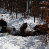 A ked tá kôpka vybuchla...