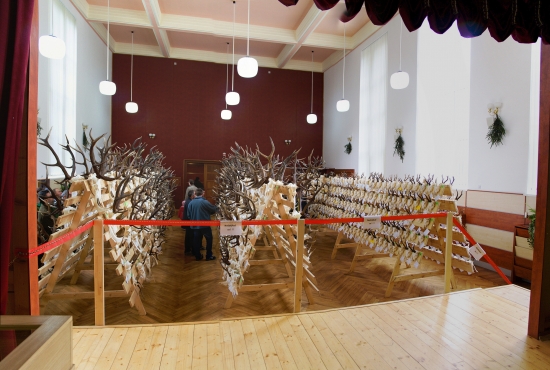 Chovateľská prehliadka  ZA,BY