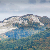 Skalné bralá Kozla