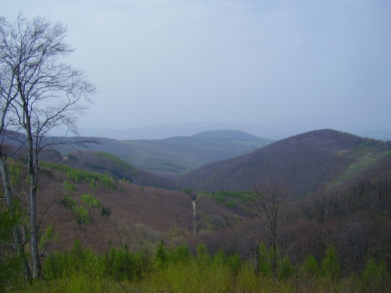 Krajna Dolina z jari.