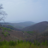 Krajna Dolina z jari.