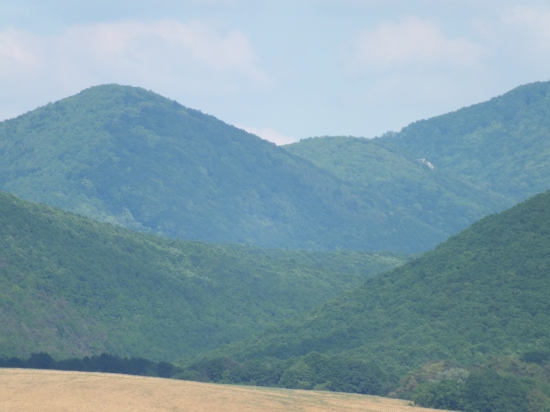 Kam az oko dovidi...