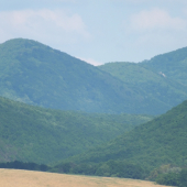 Kam az oko dovidi...