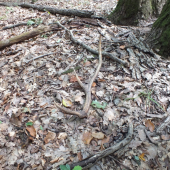 Aj cez ruju sa daju najst.