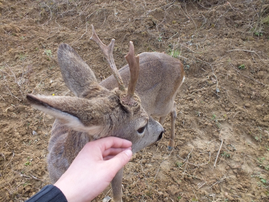 Tak toto som teda nečakal.........