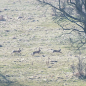 Už to na nich prišlo...