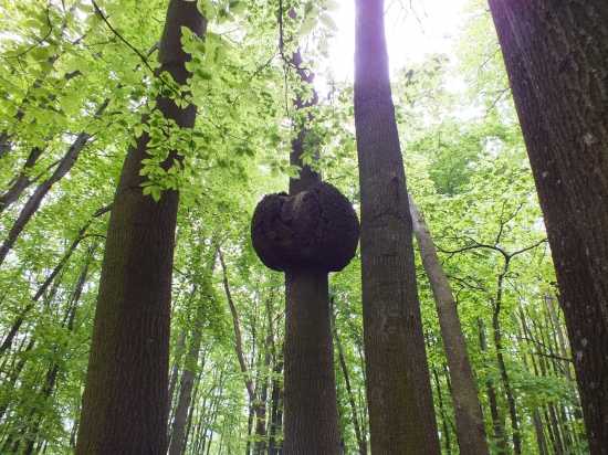 Ale toto je už dosť velké.