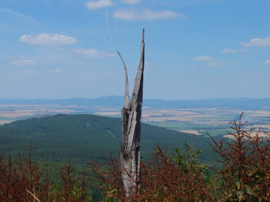 Pod Medvedím vrchom