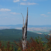 Pod Medvedím vrchom