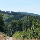 Tribeč