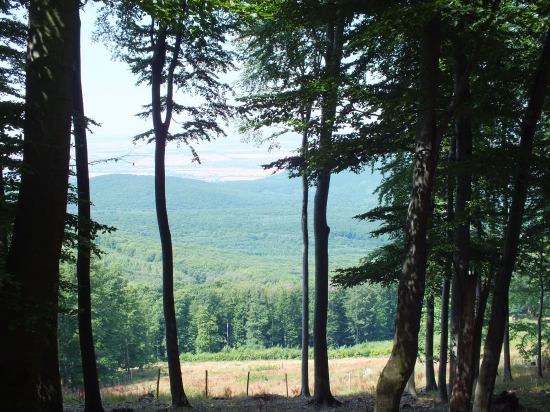 Na potulkách Tribečom