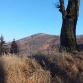 Strážca Ostrého Vrchu