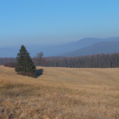 Pred príchodom zimy.