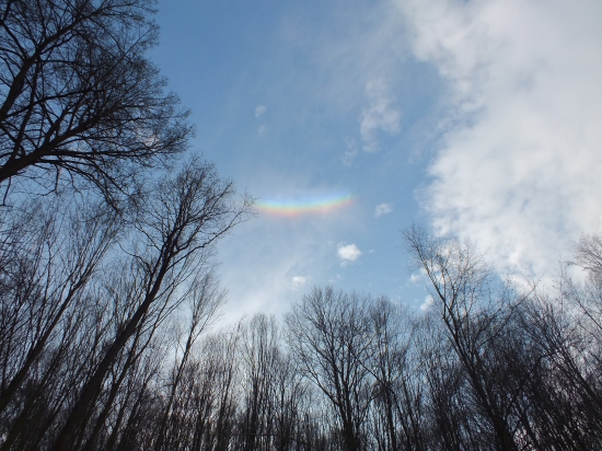 Takúto som ešte nevidel