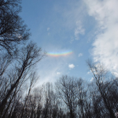 Takúto som ešte nevidel