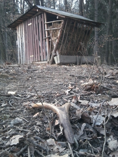 Dnešný darček ku narodeninám .