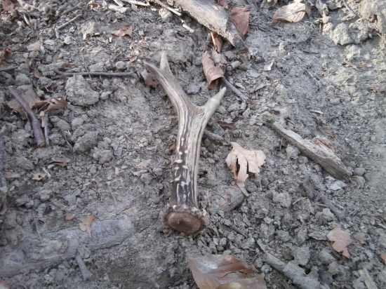 ked neprší aspon kvapká