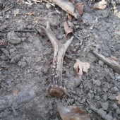 ked neprší aspon kvapká