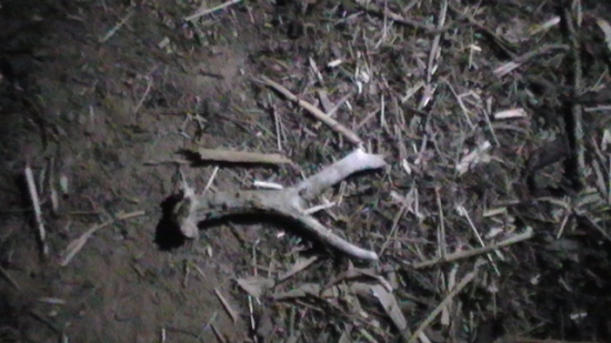 Nájdený o 16:54 :)