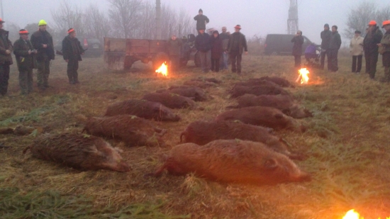 27.11.2011-PZ Vršatec-Pruské