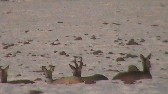 Plazil som sa ku nim ..