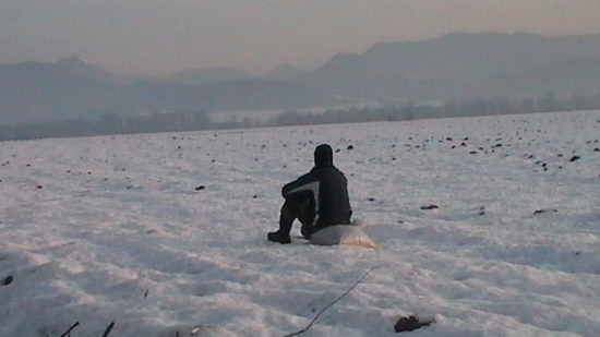 Brácho mi  pomáhal s roznášaním krmiva ,,,, pozoroval srnky .. :)