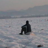 Brácho mi  pomáhal s roznášaním krmiva ,,,, pozoroval srnky .. :)