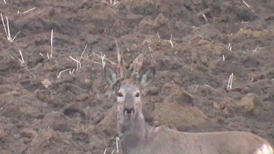 Napoli vytlčené .... :)