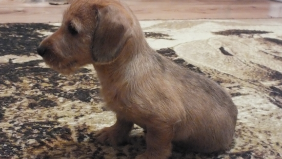 Nový člen rodiny :)