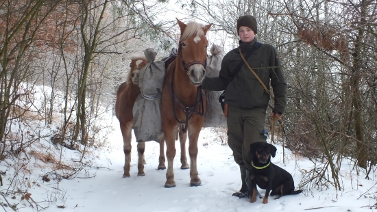 Vianočné prikrmovanie