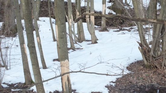 stále mi tu čosi chýba