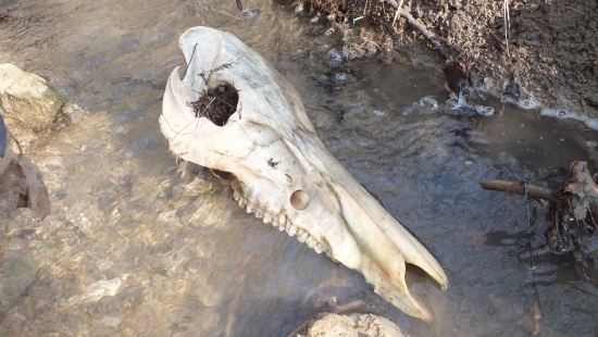 všetko možné a nie a nie zhod :)