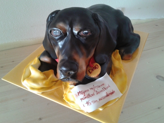 Moja narodeninová torta:)