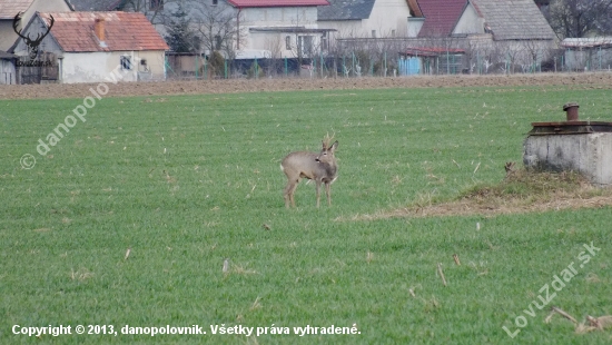 Vytlčený