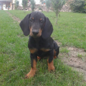 BAX z Jarkinho údolia :)