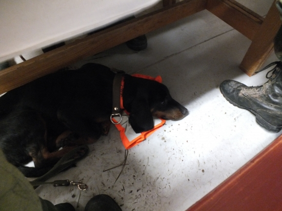 únava po prvej spoločnej